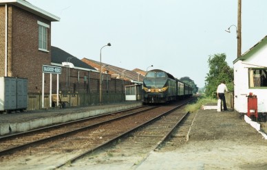 Baasrode-Noord - TH 80-4406 (1).jpg